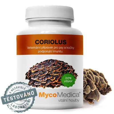 MycoMedica Coriolus Versicolor Outkovka pestrá 90 kapslí