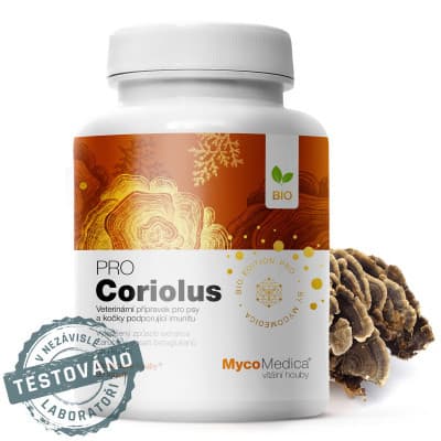 Mycomedica Coriolus PRO 90 kapslí