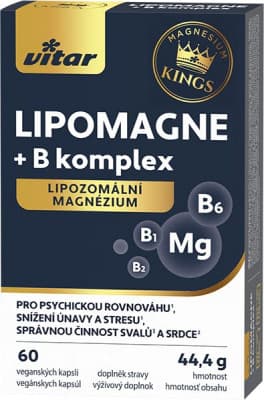 Vitar LIPOMAGNE+B komplex 60 kapslí