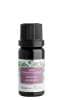 Nobilis Tilia směs éterických olejů Kouzlo adventu: 10 ml