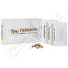 FEMINUS tbl.60