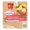 BABYBIO jablko-meruňka-banán 6m+ 4x90g