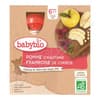 BABYBIO jablko-malina 6m+ 4x90g