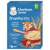 Gerber Junior nemléčná kaše jahodová 200g 1r+