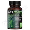 ALAVIS MAXIMA Magnezium ULTRA+B6 cps.60