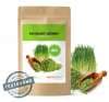MycoMedica BIO Mladý ječmen 200 g